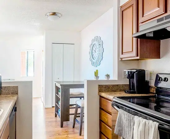 1BD condo for rent near UMC & UofA​