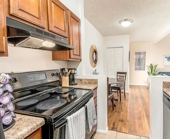 1BD condo for rent near UMC & UofA​